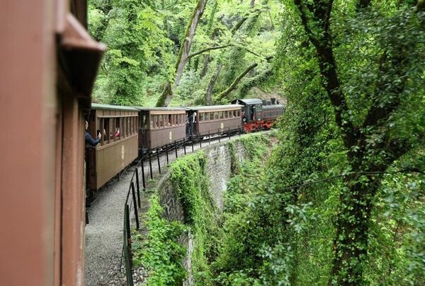 “Δημοσιογραφία – Περιβάλλον – Τουρισμός – Ανθεκτικότητα”: Οι δημοσιογράφοι στην πρώτη γραμμή&hellip;