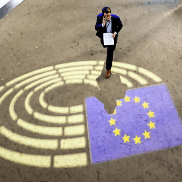 Ένας χρόνος μετά: Οι Ευρωεκλογές του 2024 και η άνοδος της ακροδεξιάς&hellip;