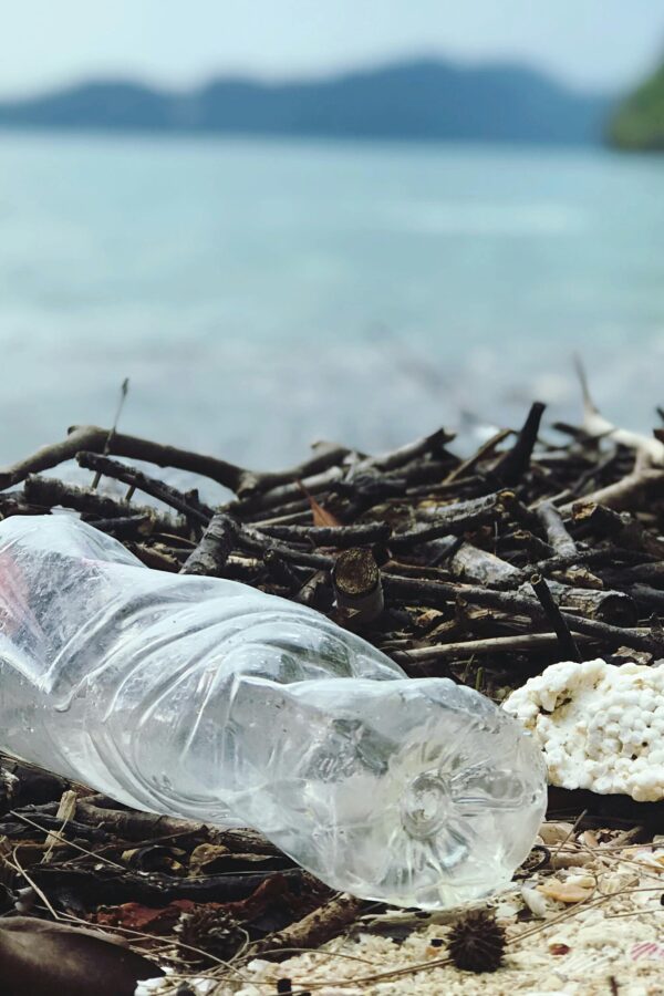 Photo by Catherine Sheila on Pexels