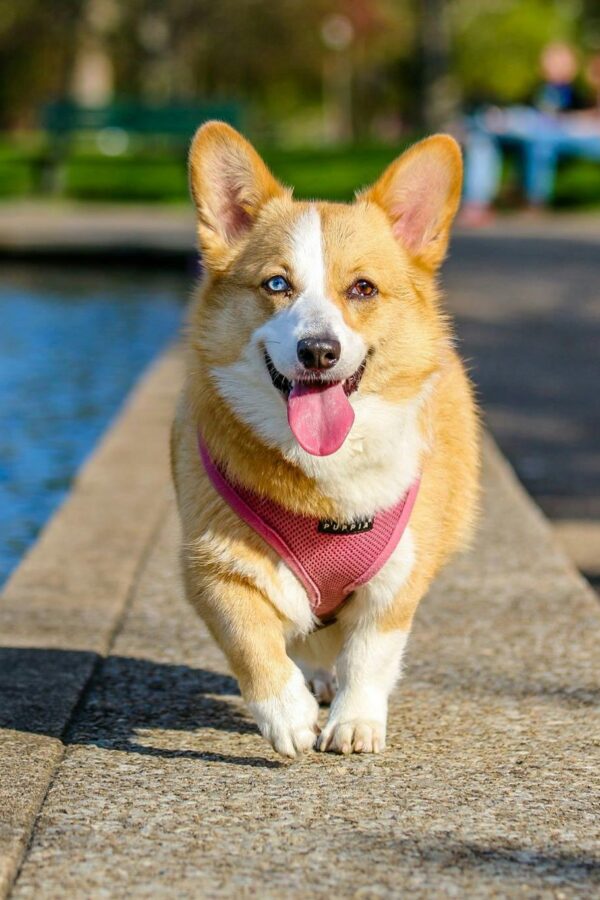 Photo by muhannad alatawi on Pexels