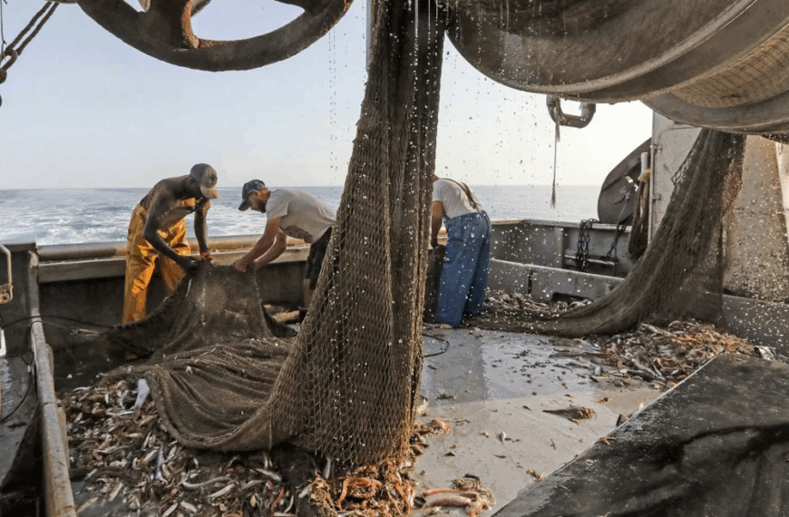 Η αθέατη καταστροφή των βυθών και η κραυγή του David Attenborough για τους ωκεανούς