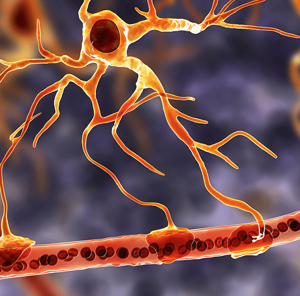 Ο θάνατος του Γεράσιμου Μιχελή και η σπάνια μάχη με την Αμυοατροφική&hellip;