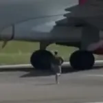 Μπέργκαμο: Σοκάρουν οι τελευταίες στιγμές του άνδρα που τον «ρούφηξε» τουρμπίνα αεροσκάφους (Video)