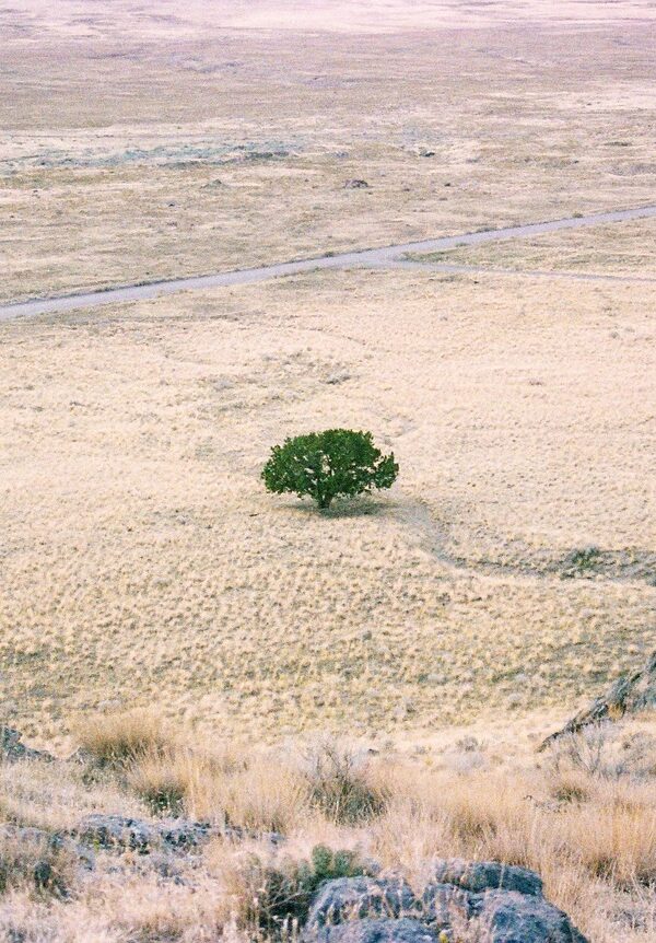 Image by Helix_Games on Pixabay