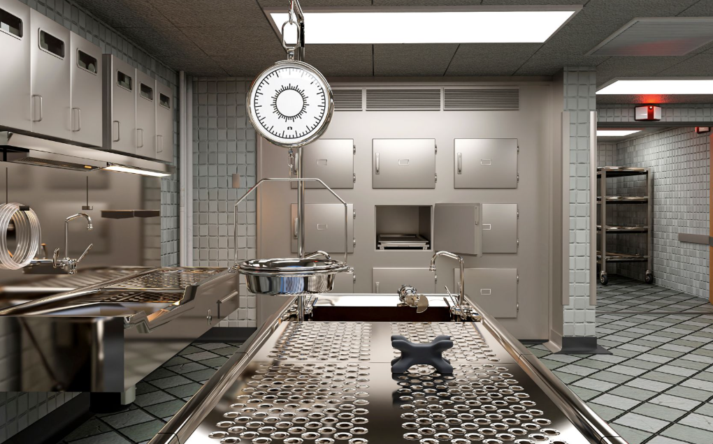 Επανεξέταση όλων των θανάτων από «φυσιολογικές αιτίες» της τελευταίας 5ετίας από την Ιατροδικαστική…