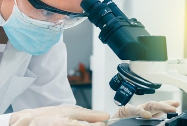 Ο θανατηφόρος μύκητας της «κατάρας των Φαραώ» γίνεται όπλο κατά του καρκίνου