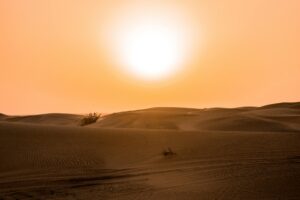 Photo by Fabio Partenheimer on Pexels