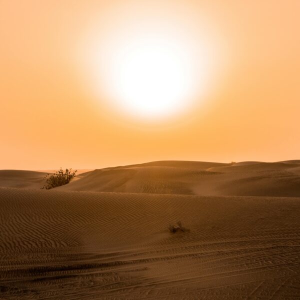 Photo by Fabio Partenheimer on Pexels