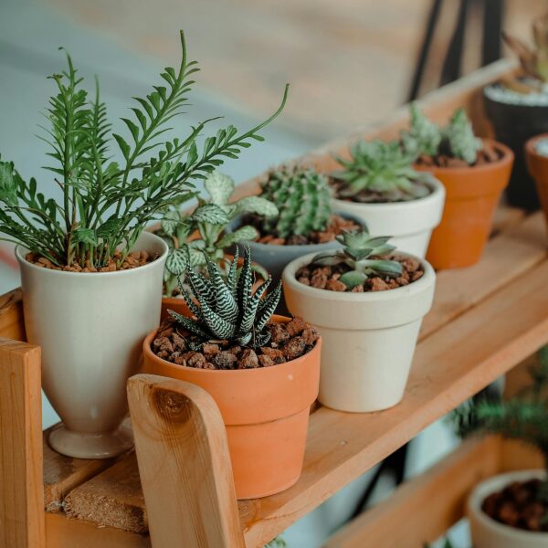 Photo by Min An on Pexels
