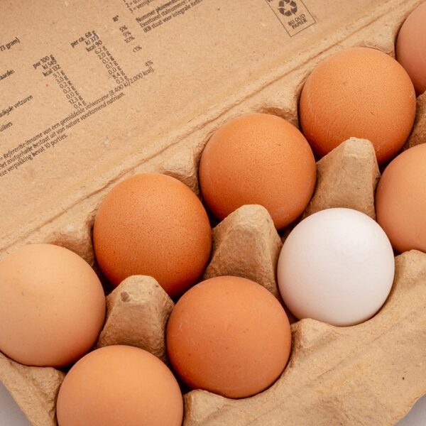 Ανησυχία για τα ελληνικά αυγά: Υψηλές συγκεντρώσεις PFAS και φυτοφαρμάκων σε νέα&hellip;