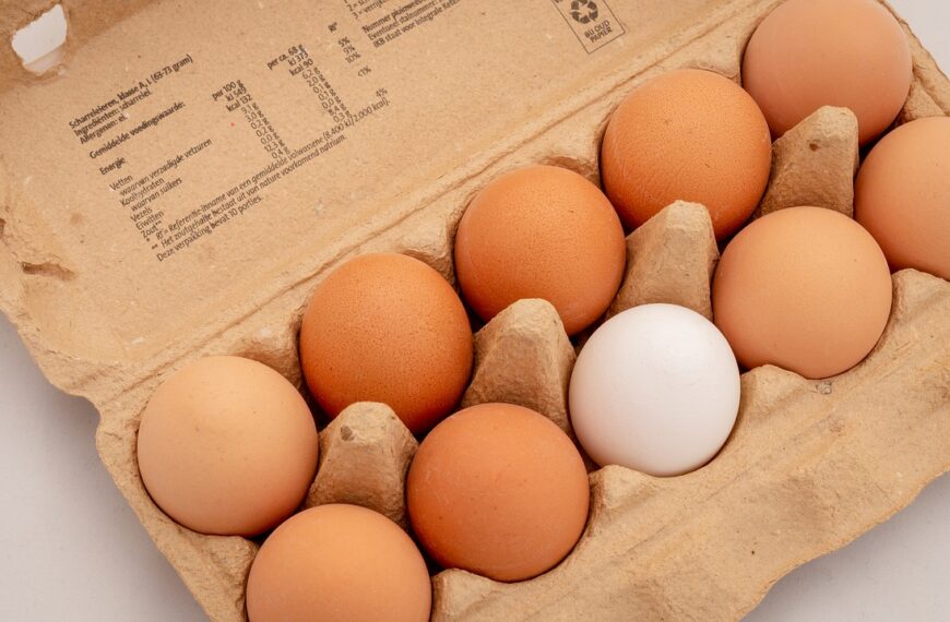 Ανησυχία για τα ελληνικά αυγά: Υψηλές συγκεντρώσεις PFAS και φυτοφαρμάκων σε νέα μελέτη