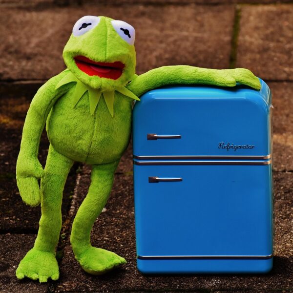 Image by Alexas_Fotos on Pixabay