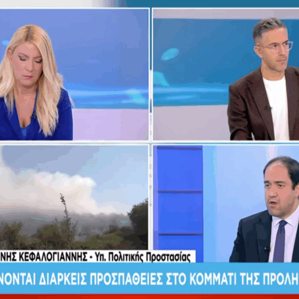 Κεφαλογιάννης: «Κάτω από τον μέσο όρο 20ετίας οι καμένες εκτάσεις φέτος»