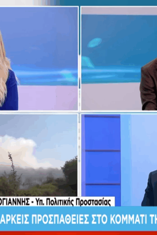 Κεφαλογιάννης: «Κάτω από τον μέσο όρο 20ετίας οι καμένες εκτάσεις φέτος»