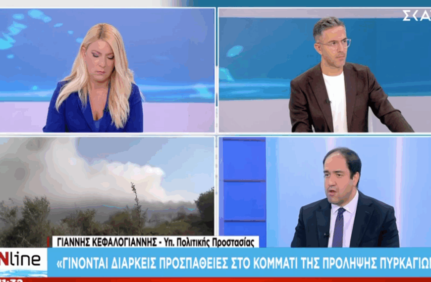 Κεφαλογιάννης: «Κάτω από τον μέσο όρο 20ετίας οι καμένες εκτάσεις φέτος»