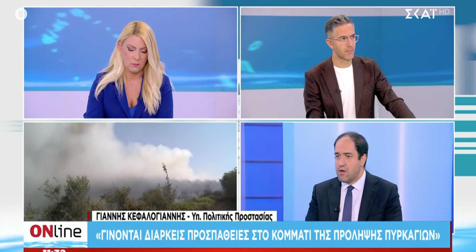 Κεφαλογιάννης: «Κάτω από τον μέσο όρο 20ετίας οι καμένες εκτάσεις φέτος»