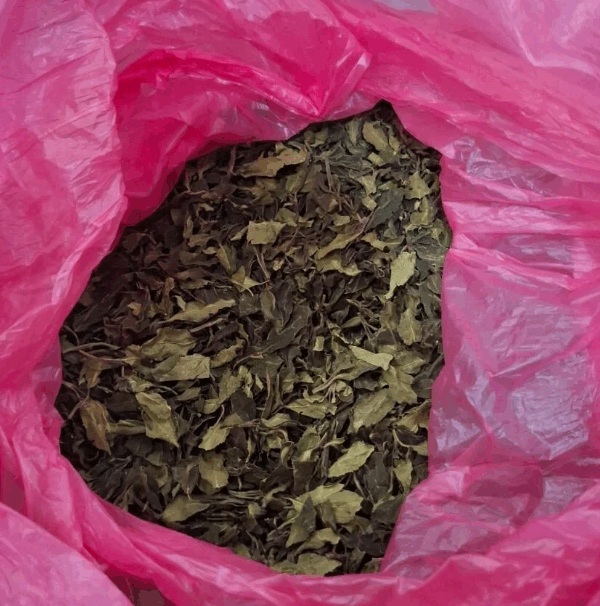 Κατάσχεση μισού τόνου Khat στο «Ελευθέριος Βενιζέλος»