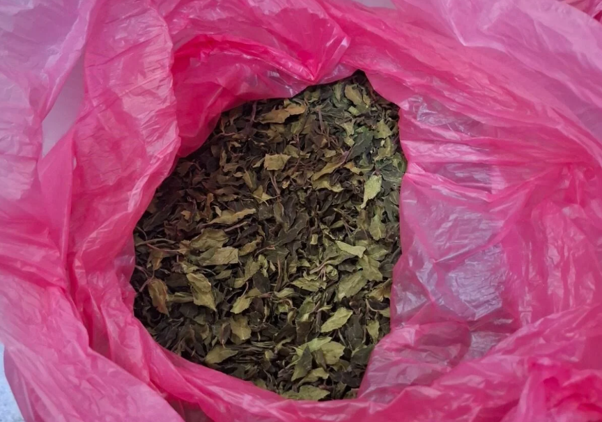 Κατάσχεση μισού τόνου Khat στο «Ελευθέριος Βενιζέλος»