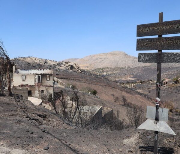 Κράτος πάνω σε στάχτες: Η διαχρονική ανικανότητα στην αντιμετώπιση των πυρκαγιών