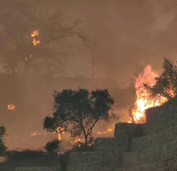 Πύρινη κόλαση στην Αχαΐα – Τρία μέτωπα γύρω από την Πάτρα, εκκενώσεις και καταστροφές