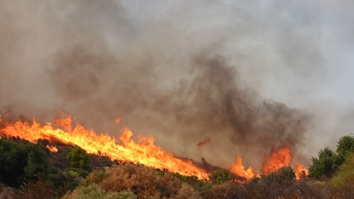 Πολύ υψηλός κίνδυνος πυρκαγιάς για το Σάββατο 16 Αυγούστου – Έκκληση για μέγιστη προσοχή