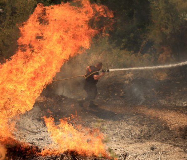 Πύρινη κόλαση σε Πάτρα, Χίο, Πρέβεζα και Ζάκυνθο – Εκκενώσεις, καμένες περιουσίες και έρευνες για εμπρησμ