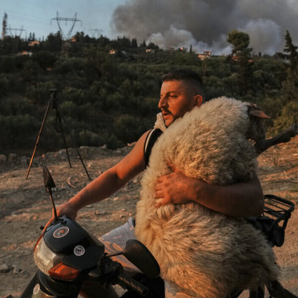 «Ο καλός ποιμένας της Αχαΐας» στις πιο εμβληματικές φωτογραφίες του 2025