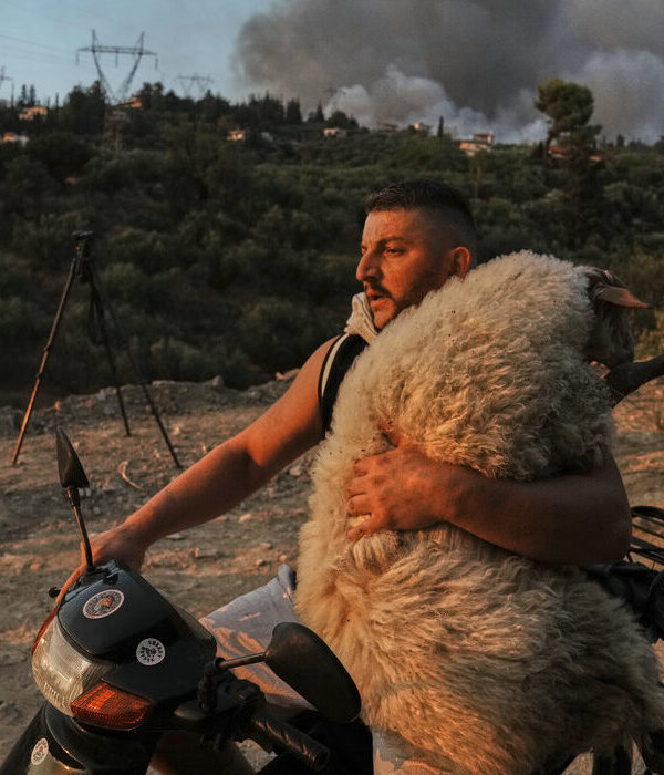 «Ο καλός ποιμένας της Αχαΐας» στις πιο εμβληματικές φωτογραφίες του 2025