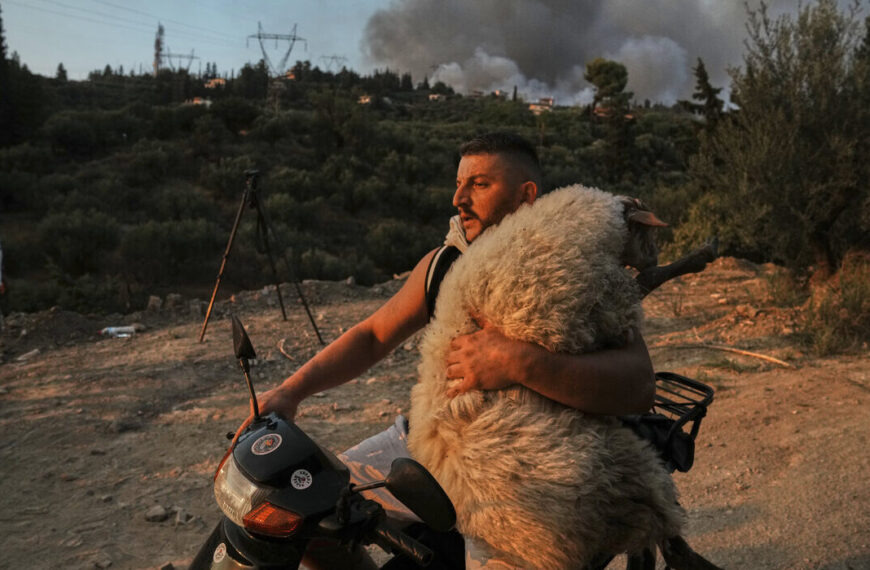 «Ο καλός ποιμένας της Αχαΐας» στις πιο εμβληματικές φωτογραφίες του 2025