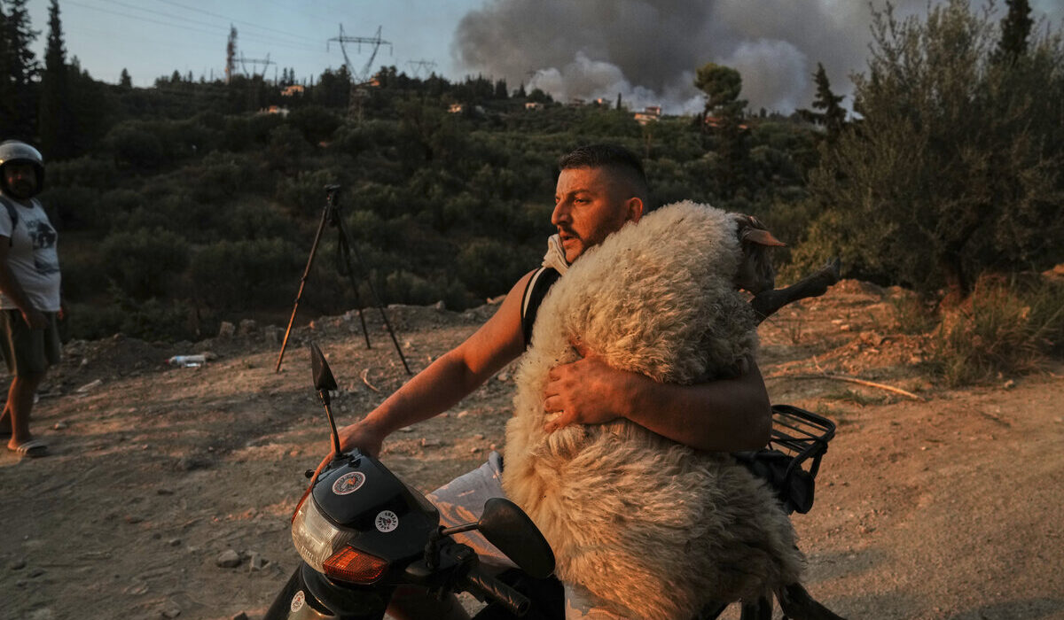 «Ο καλός ποιμένας της Αχαΐας» στις πιο εμβληματικές φωτογραφίες του 2025