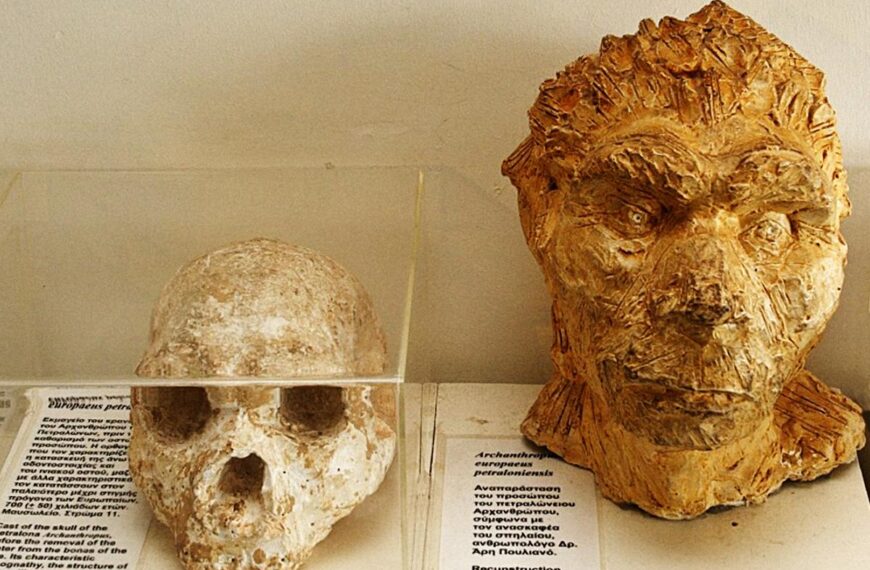 Κρανίο Ανθρώπου των Πετραλώνων: Νέες διευκρινίσεις από το ΑΠΘ για τη χρονολόγηση&hellip;