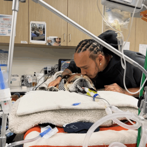 Ο τελευταίος γύρος του Roscoe – O Λιούις Χάμιλτον έκανε ευθανασία στο&hellip;