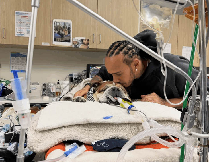 Ο τελευταίος γύρος του Roscoe – O Λιούις Χάμιλτον έκανε ευθανασία στο σκύλο-σύμβολο της F1 