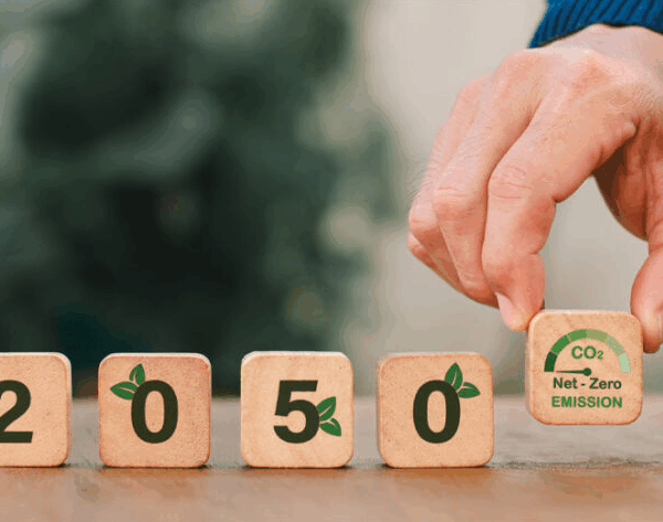 Γιάννης Τσιπουρίδης / Η παγίδα του Net Zero