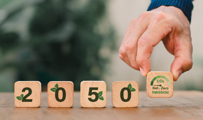 Γιάννης Τσιπουρίδης / Η παγίδα του Net Zero