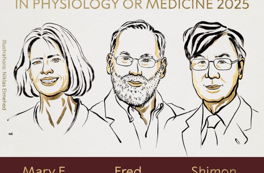 Νόμπελ Ιατρικής 2025: Οι φρουροί του ανοσοποιητικού και η περιφερική ανοσολογική ανοχή