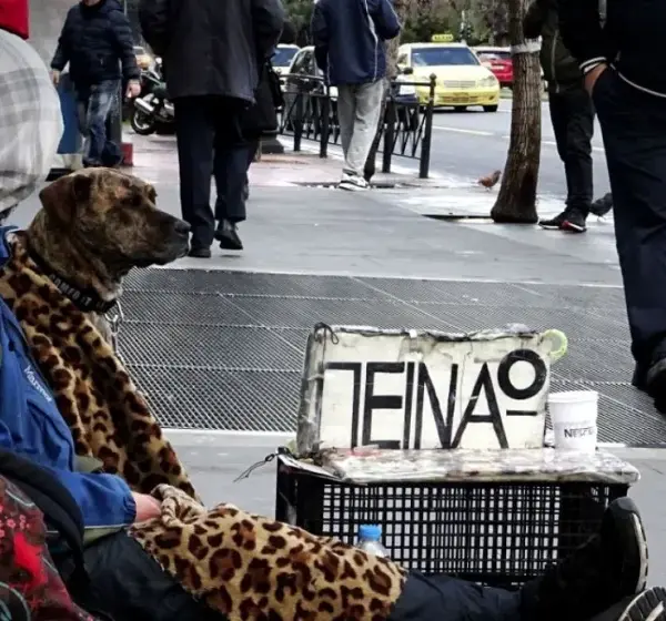 Η πείνα επιστρέφει: Ένα στα 15 νοικοκυριά στην Ελλάδα δηλώνει έλλειψη τροφής