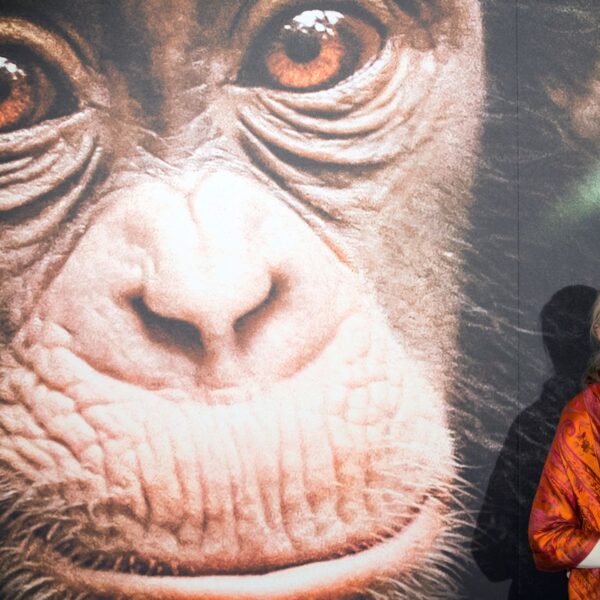 Τζέιν Γκούντολ: Μια ζωή αφιερωμένη στη φύση και τον άνθρωπο