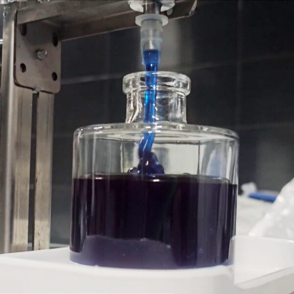 Μπλε Μέλι: Το ελληνικό “superfood” που έγινε viral και ταξιδεύει στο εξωτερικό