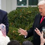 O Ζελένσκι ζητά άμεση συνάντηση με Τραμπ για την τελική συμφωνία ειρήνης – Πιθανή συνάντηση την Ημέρα των Ευχαριστιών