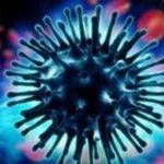 Γρίπη των πτηνών: Ορατός ο κίνδυνος νέας πανδημίας, προειδοποιεί το Ινστιτούτο Παστέρ