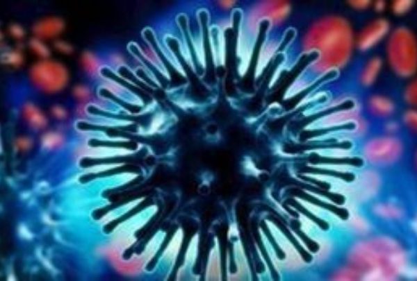 Γρίπη των πτηνών: Ορατός ο κίνδυνος νέας πανδημίας, προειδοποιεί το Ινστιτούτο Παστέρ