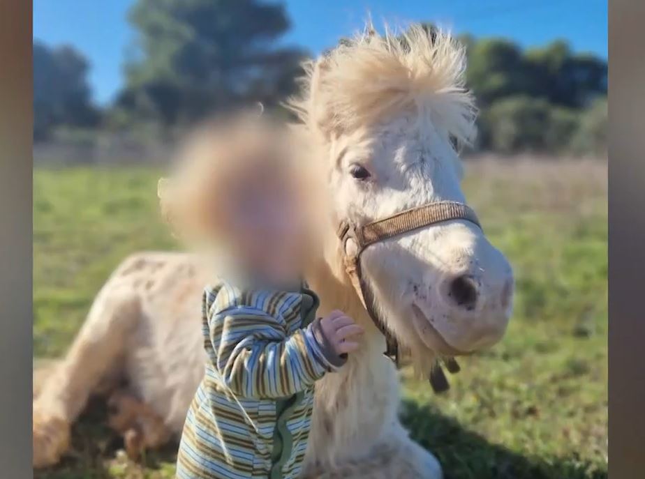 Σήμερα η κηδεία του μικρού Λίο – Τα ερωτήματα που αφήνει πίσω της&hellip;