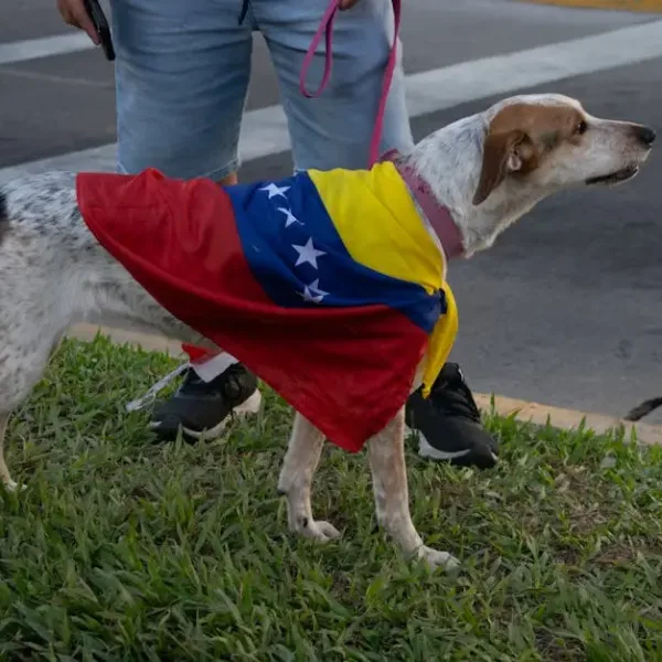 Το μέλλον της Δύσης μετά τη Βενεζουέλα και το “δόγμα Τραμπ”