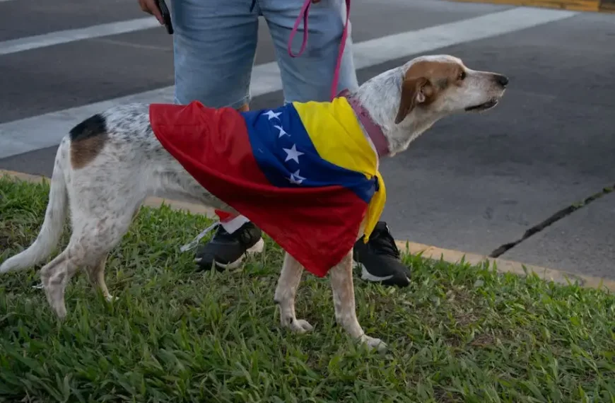 Το μέλλον της Δύσης μετά τη Βενεζουέλα και το “δόγμα Τραμπ”