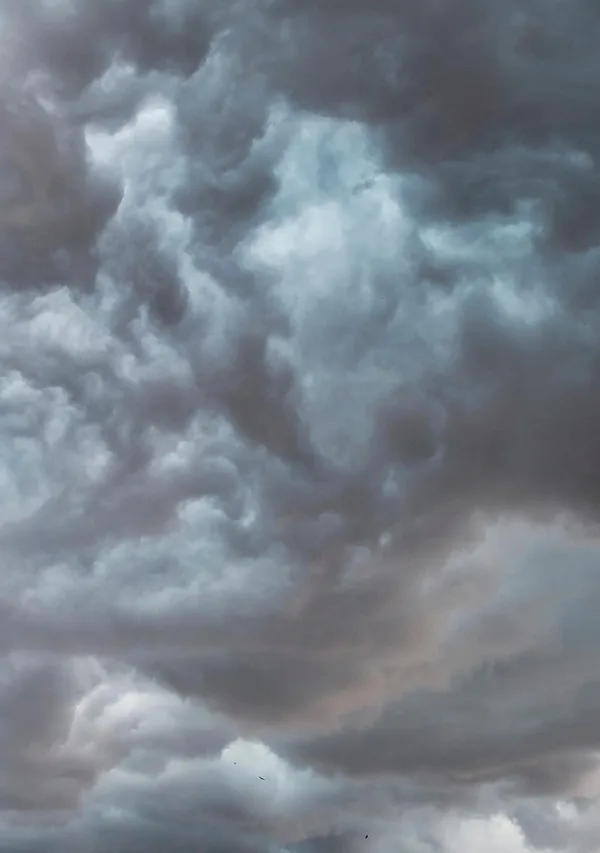 Image by ELG21 on Pixabay