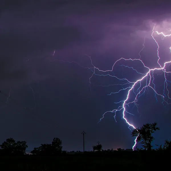 Photo by Alexandre Bringer on Pexels