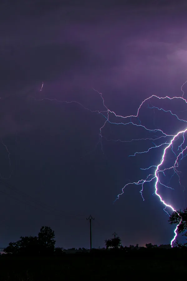 Photo by Alexandre Bringer on Pexels