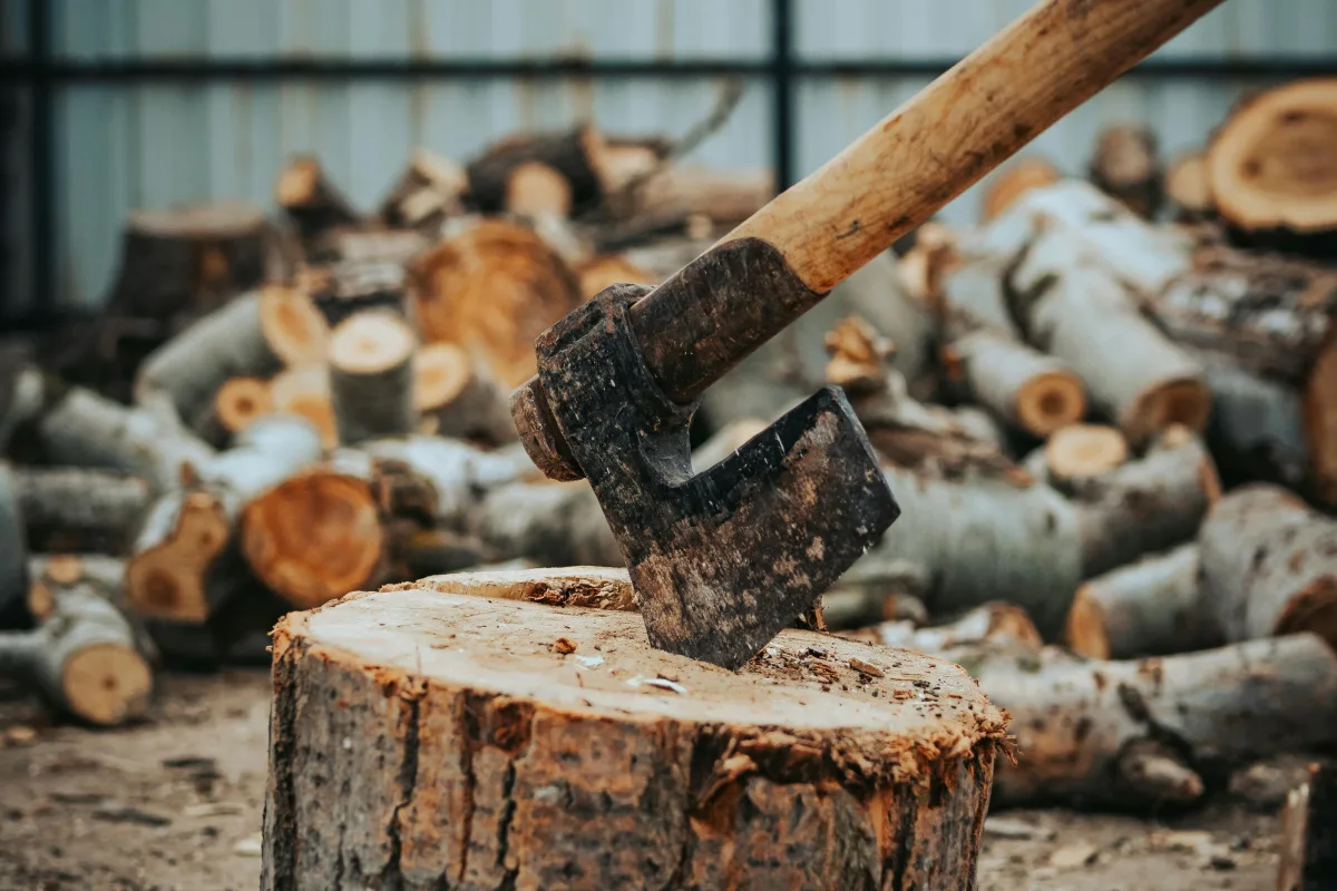 Photo by seyfi durmaz on Pexels