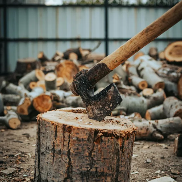 Photo by seyfi durmaz on Pexels
